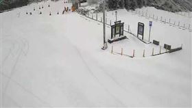 快訊／合歡山又下雪了！　「武嶺亭狂風暴雪樓梯快不見」（圖／翻攝自即時影像監視器）
