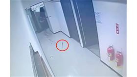 中山區1對情侶因談分手爆口角，女友當場持刀砍殺男友。（圖／翻攝畫面）