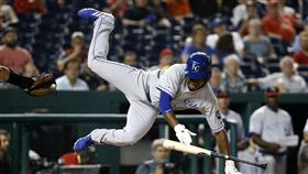 ▲Terrance Gore拿過3次世界大賽冠軍。（資料照／美聯社／達志影像）