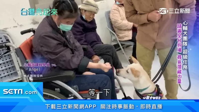 心輔犬團隊超級任務　尋找狗潛藏力量