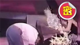  徐小鳳。（圖／翻攝自臉書）