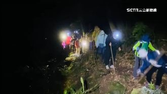 誤闖原始林區　「千歲團」困忘憂森林