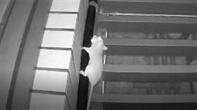 明倫社宅遭住民怒控老鼠亂竄屋內滲水（圖／明倫社宅住戶提供）
