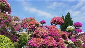 圖／台灣旅行趣