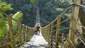 有「西部太魯閣」美喻的竹山梯子吊橋園區（竹山天梯）在今（7）日重新開園，園區內有知名的青龍瀑布（圖／翻攝自南投縣政府官網）