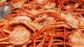 松葉蟹，圖／美聯社／達志影像