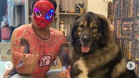 蒜頭,逝世,無預警,毛手毛腳,（圖／翻攝自臉書粉專「毛手毛腳」）