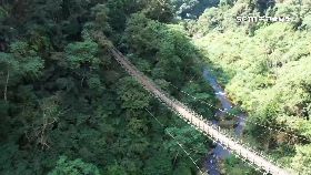 竹天梯重開.2400