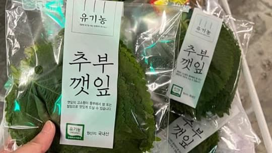 她見全聯賣「綠葉」狂喜　網：是珍品