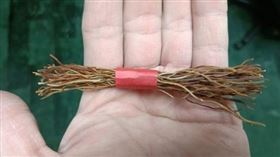 肉桂,肉桂鬚,零食,懷舊(翻攝自 復刻舊時光)