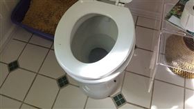 廁所 圖／PIXABAY