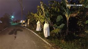 宜蘭路邊香蕉蓋白布