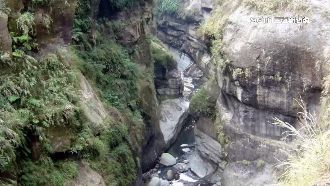 南投天梯重新營運　雜草吞沒熱門景點