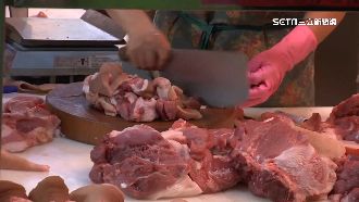 趙少康稱逼全台吃萊豬　鍾年晃爆粗口