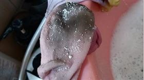 襪子,女兒,全聯,媽媽,母親,刷洗,心聲,肥皂,家事