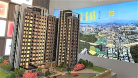 台信心晴天 一次擁有萬坪森林+商圈