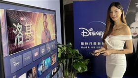 圖／記者谷庭攝,disney+