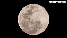 元宵節,賞月,超級月亮　圖／記者林士傑攝影