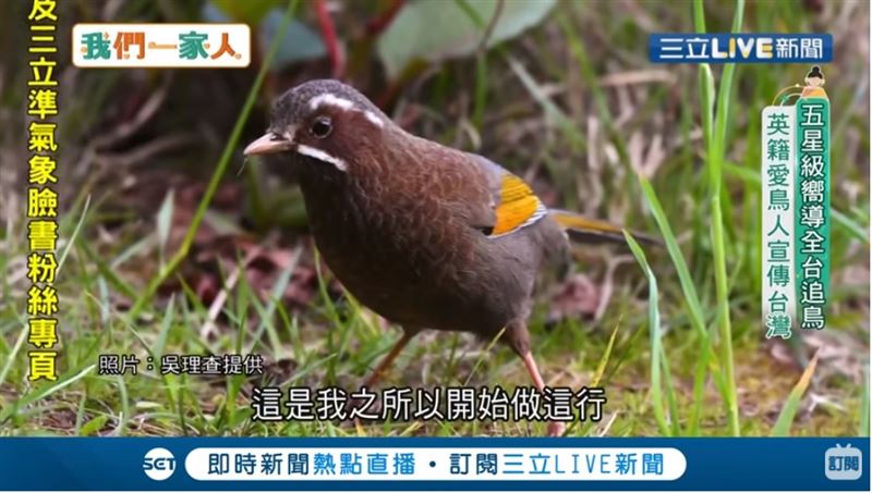 嚮導全台追鳥　英籍愛鳥人宣傳台灣