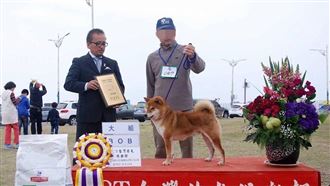 一世柴人夫妻雙亡　出門5分鐘遇死劫