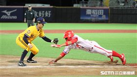 ▲中信兄弟游擊手江坤宇觸殺朱祥麟。（圖／記者劉彥池攝影）