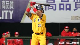 ▲中信兄弟指定打擊林智勝。（圖／記者劉彥池攝影）
