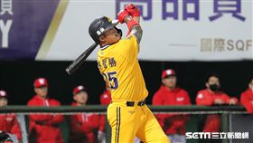 ▲中信兄弟指定打擊林智勝。（圖／記者劉彥池攝影）