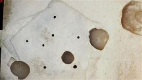 ▲太原發現5500年前五角型房址。（圖／翻攝自太原市文物考古研究所）