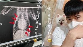 JR愛犬棉花糖身體亮紅燈。（圖／翻攝自JR紀言愷IG）