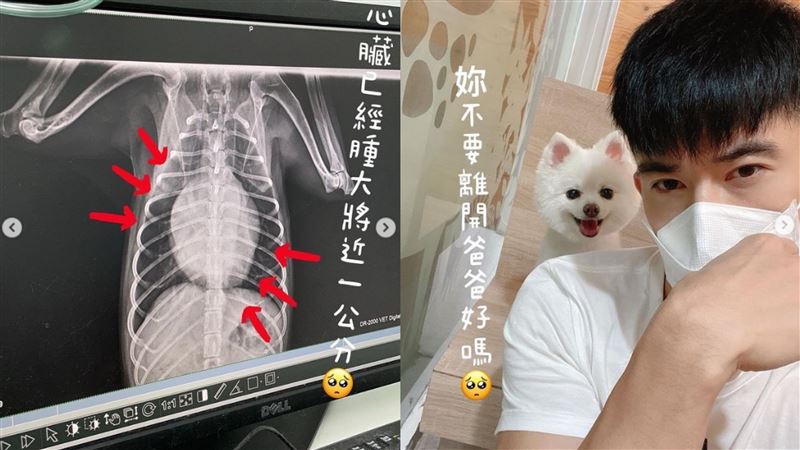 愛犬活不過1年　JR發千字文崩潰了