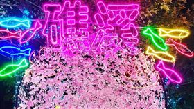 圖／台灣旅行趣