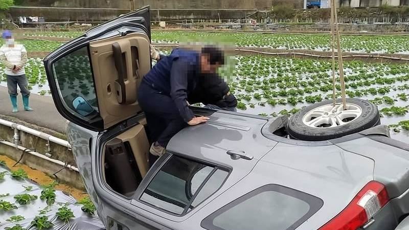 糗！抄捷徑慘摔草莓田　2天連翻2車