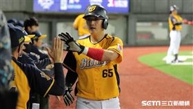 ▲中信兄弟捕手高宇杰跑回球隊追平分。（圖／記者劉彥池攝影）