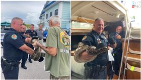 美國,船,佛州,馬可島,蟒蛇,浴室,洗手間,蛇（圖／翻攝自Marco Island Police Department