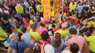 矇眼搶發財豬！親友下指導棋笑成一團