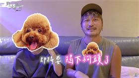 野人七號部落YouTube