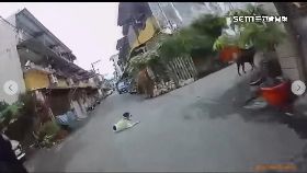 L放任狗亂追0930