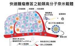 奈米科技強化癌症治療(亞東醫院提供)
