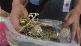 圖／翻攝自紅星新聞