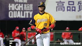 ▲中信兄弟指定打擊林智勝。（圖／記者劉彥池攝影）