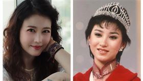 周海媚與謝寧（圖／翻攝自周海媚工作室微博與百度百科）