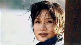 ▲李娜相關。（圖／翻攝自百度百科）