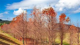 圖／台灣旅行趣