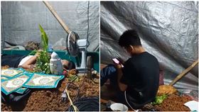 睡在墳墓旁！5男「墓園搭帳棚」過夜　1天現賺2000元（圖／翻攝自＠oreo_bamban TikTok）