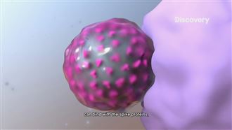 抗疫有多強？台灣戰疫全紀錄直擊挑戰