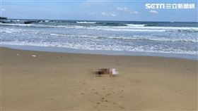 男屍,貢寮海灘,落海,新北,翻攝畫面