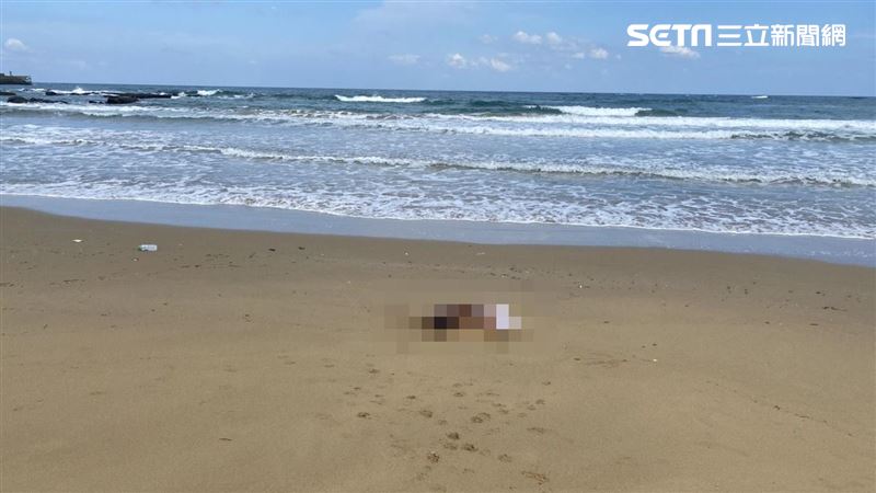 貢寮半截屍身分確認　花蓮落海失蹤者