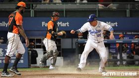 ▲富邦悍將捕手張進德跑回球隊第2分。（圖／記者劉彥池攝影）