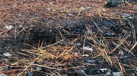 ／NCC官員燒毀玉山　慘痛下場曝（圖／翻攝畫面）