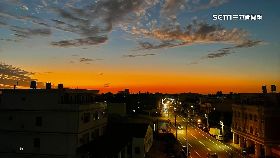 日楓在台紅1200.